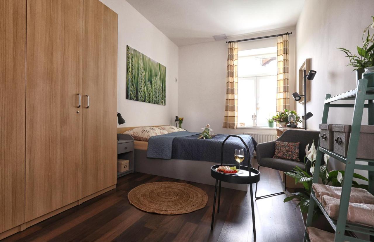 Apartmany U Aloise Dolní Morava المظهر الخارجي الصورة